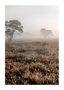 Autumn Field-1